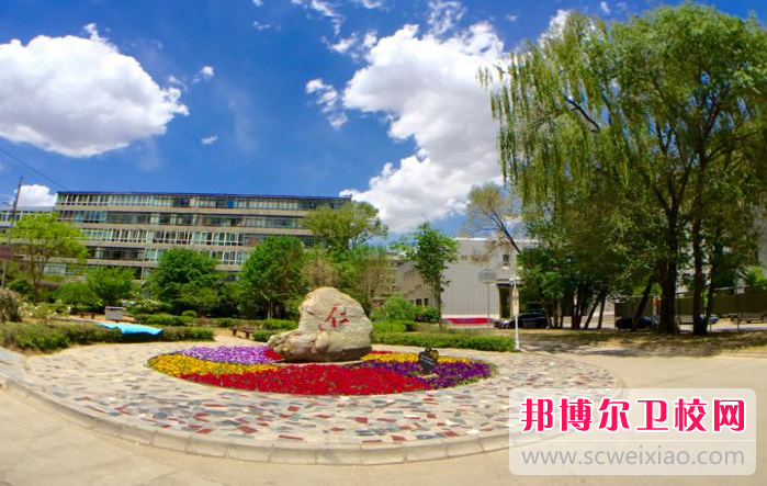 2023青海衛(wèi)生職業(yè)技術(shù)學(xué)院有哪些專業(yè) 青海衛(wèi)生職業(yè)技術(shù)學(xué)院開(kāi)設(shè)的專業(yè)一覽表
