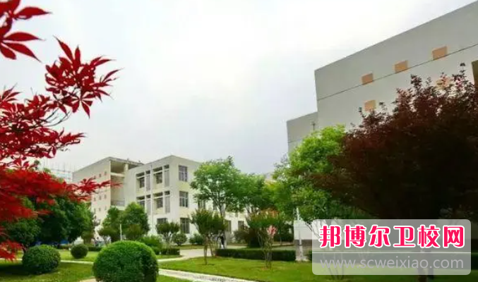 2023河南推拿職業學院有哪些專業 河南推拿職業學院開設的專業一覽表