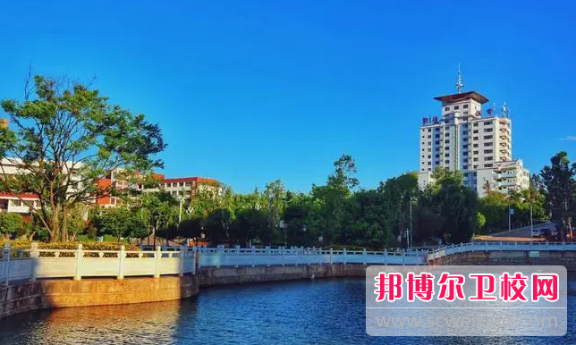 2023楚雄公辦護理專業學校有哪些 楚雄公辦護理專業學校名單一覽表