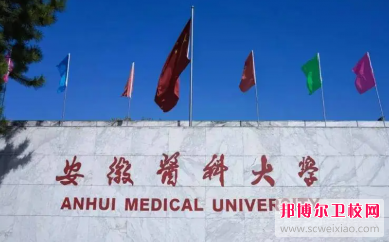2023合肥口腔醫學學校有哪些 合肥口腔醫學學校名單一覽表