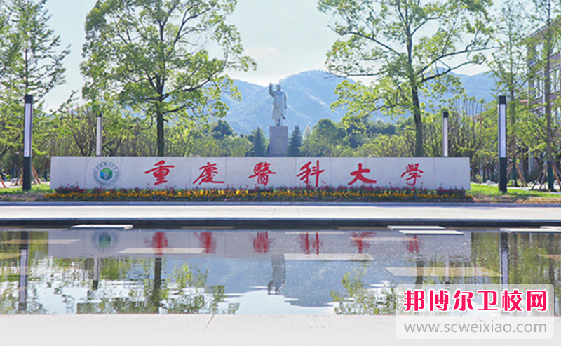 2023重慶臨床醫學學校有哪些 重慶臨床醫學學校名單一覽表