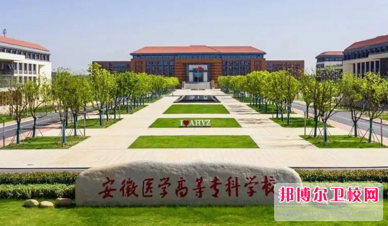 2023合肥臨床醫學學校有哪些 合肥臨床醫學學校名單一覽表