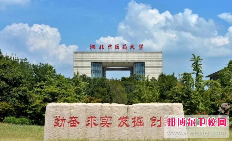 2023武漢針灸推拿學校有哪些 武漢針灸推拿學校名單一覽表