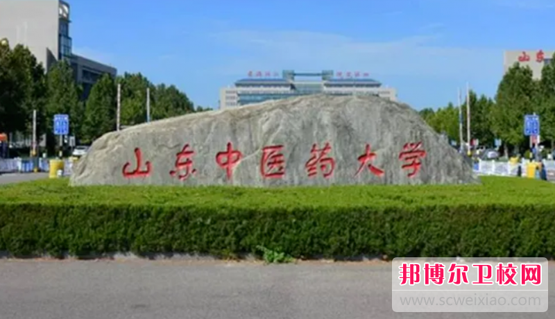 2023濟南公辦針灸推拿學校有哪些 濟南公辦針灸推拿學校名單一覽表