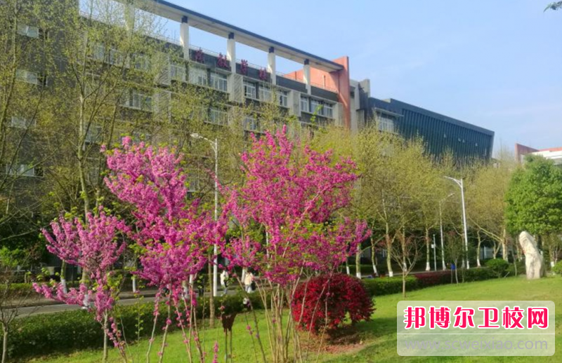2023年重慶護(hù)理學(xué)校中專升大專考什么