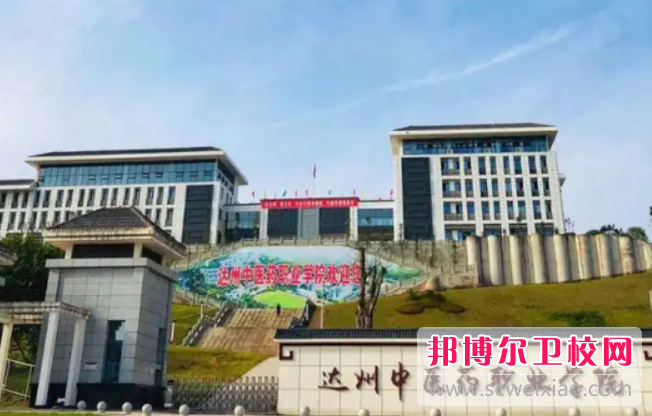 四川2023年設有護理學校的公辦大專學校