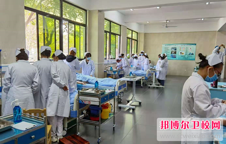 四川2023年護理學(xué)校什么專業(yè)最好