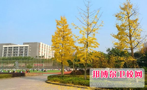 四川2023年護理學校畢業好不好找工作
