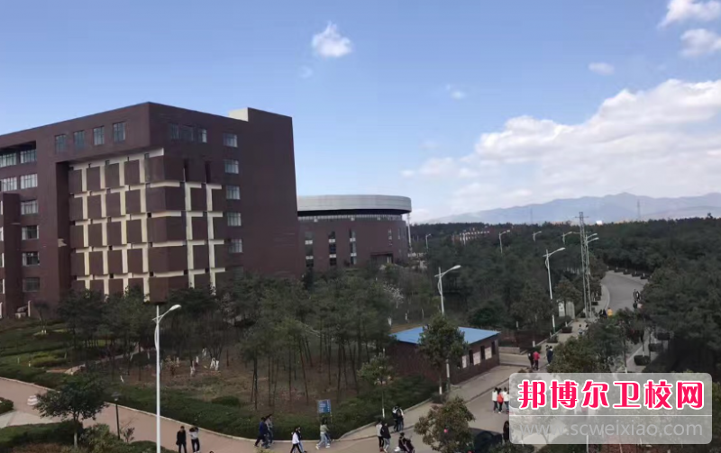 云南2023年中學畢業讀什么護理學校