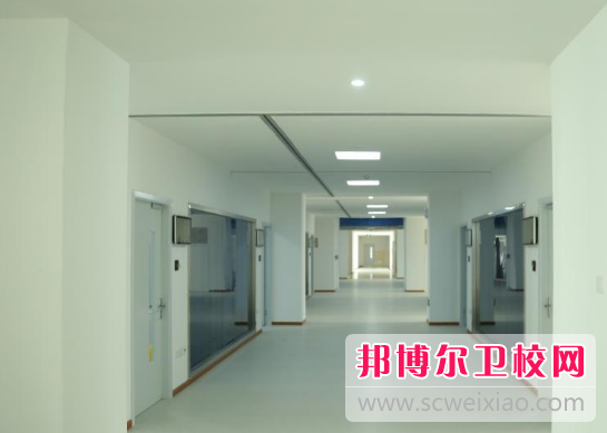 江蘇2024年護理學校有什么專業適合女生