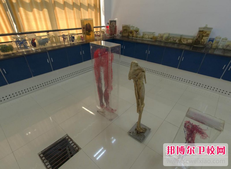 江蘇2024年適合女生的護理學校專業