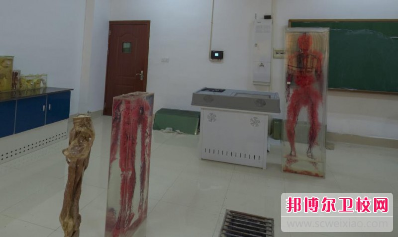 江蘇2024年女生讀護(hù)理學(xué)校好不好
