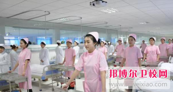 陜西2024年護理學校什么專業最好