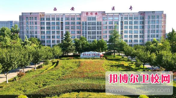 陜西2024年讀什么護理學校好