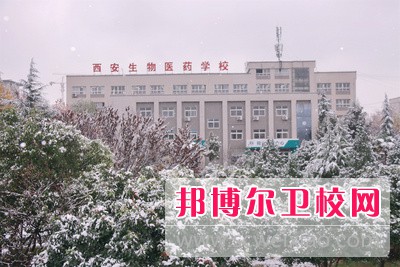 陜西2024年好一點的護理學(xué)校