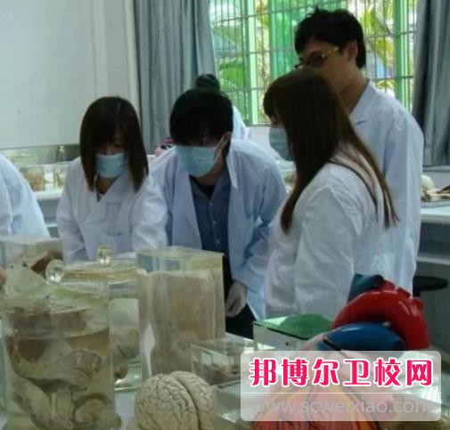 陜西2024年上護理學校