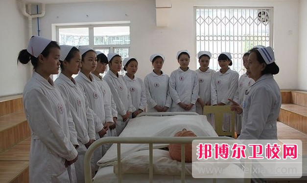 湖南2024年在護理學校學什么專業好