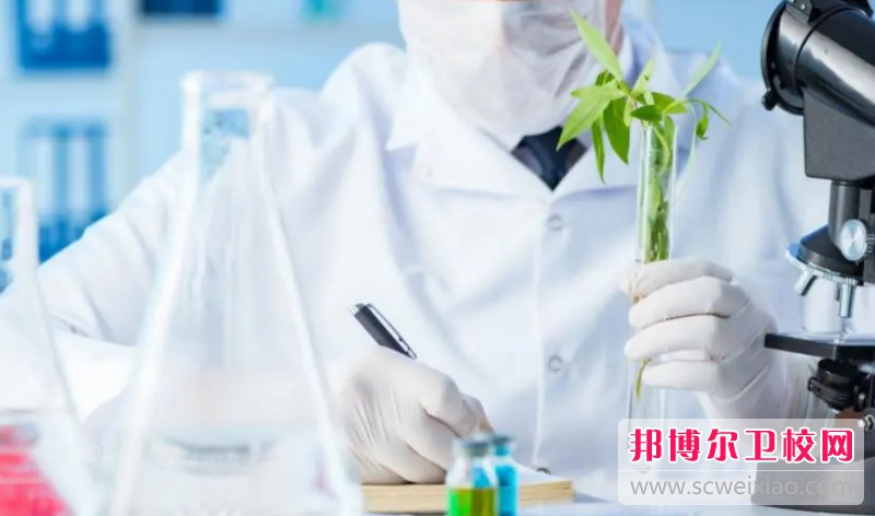 湖南2024年護理學校有哪些專業好