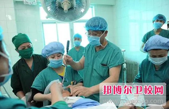 湖南2024年讀護理學校讀什么專業好