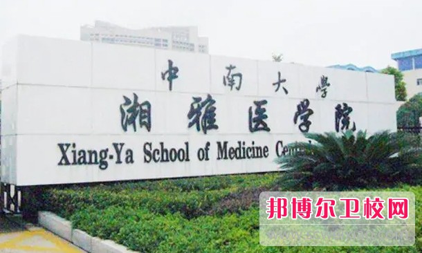 湖南2024年有沒有護理學校