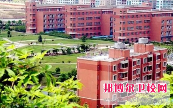 湖北2024年初中生可以讀的護理學(xué)校