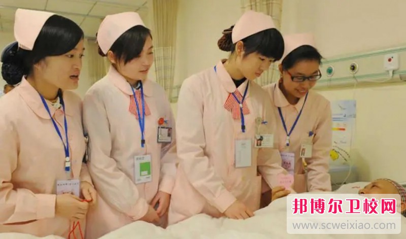 湖北2024年護理學校有什么專業