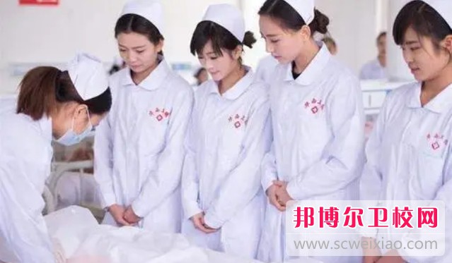 湖北2024年護理學校一般有哪些專業