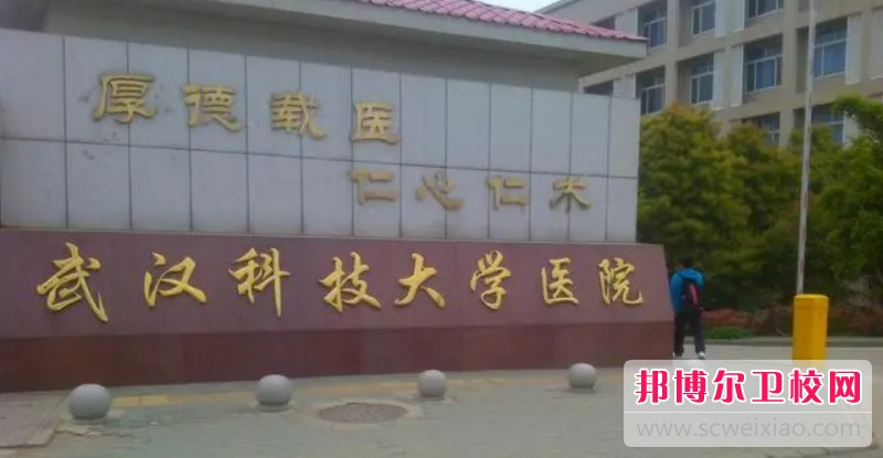 湖北2024年哪個護理學校就業好