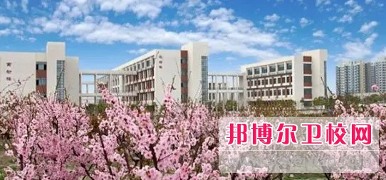 湖北2024年護理學校需要多少分