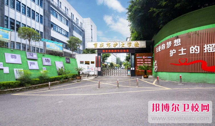 重慶護士學校2024年招生錄取分數線（2025參考）