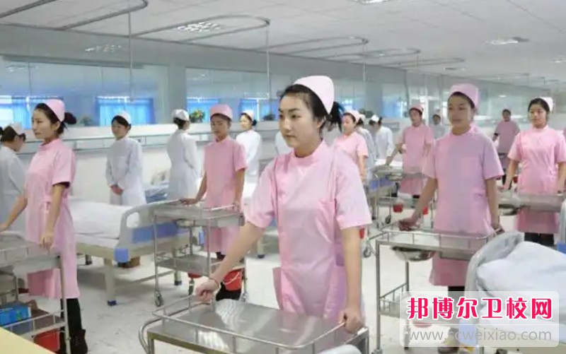 四川2025年護理學(xué)校專業(yè)學(xué)什么