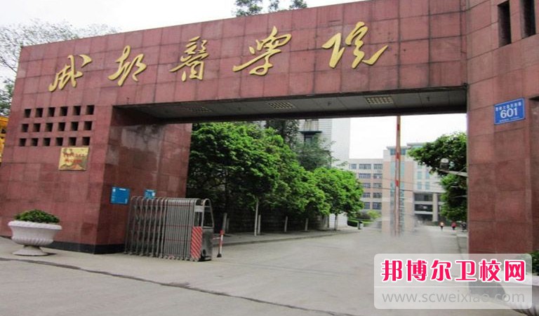 四川2025年有哪些大專護(hù)理學(xué)校